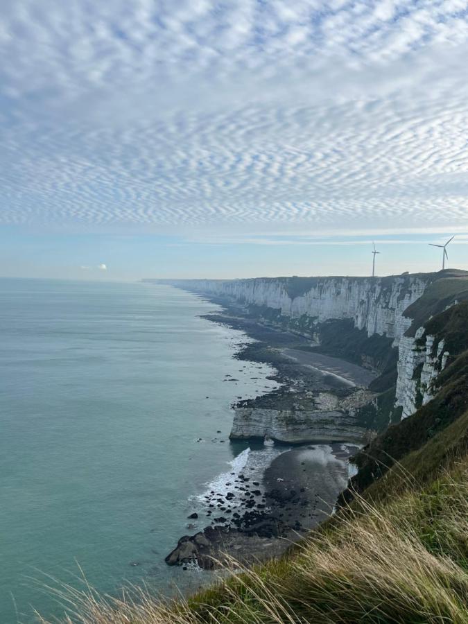 فيلا Au Pied Des Falaises Fécamp المظهر الخارجي الصورة